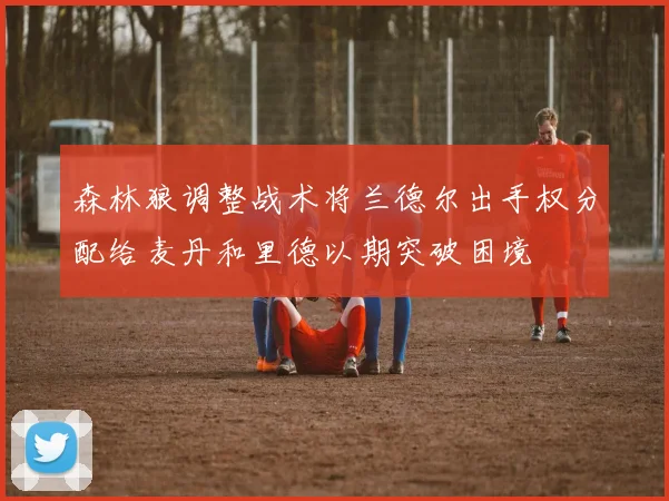 森林狼调整战术将兰德尔出手权分配给麦丹和里德以期突破困境